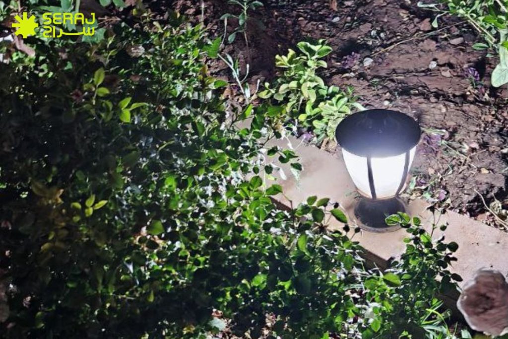 چرا چراغ باغی اهمیت دارد؟