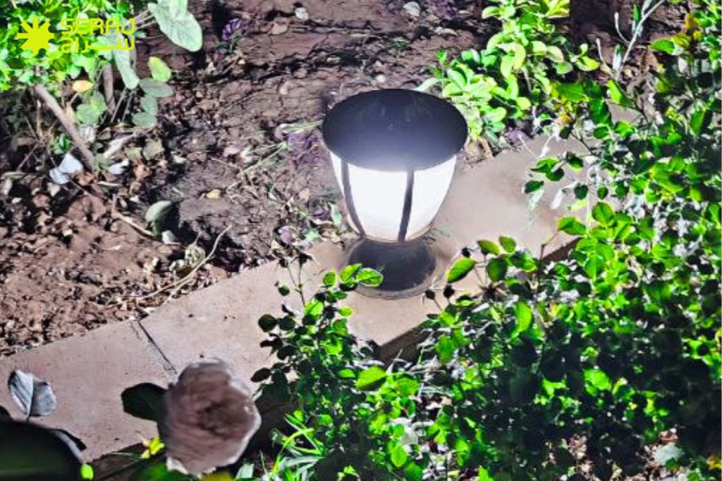 چرا مراقبت از چراغ چمنی اهمیت دارد؟