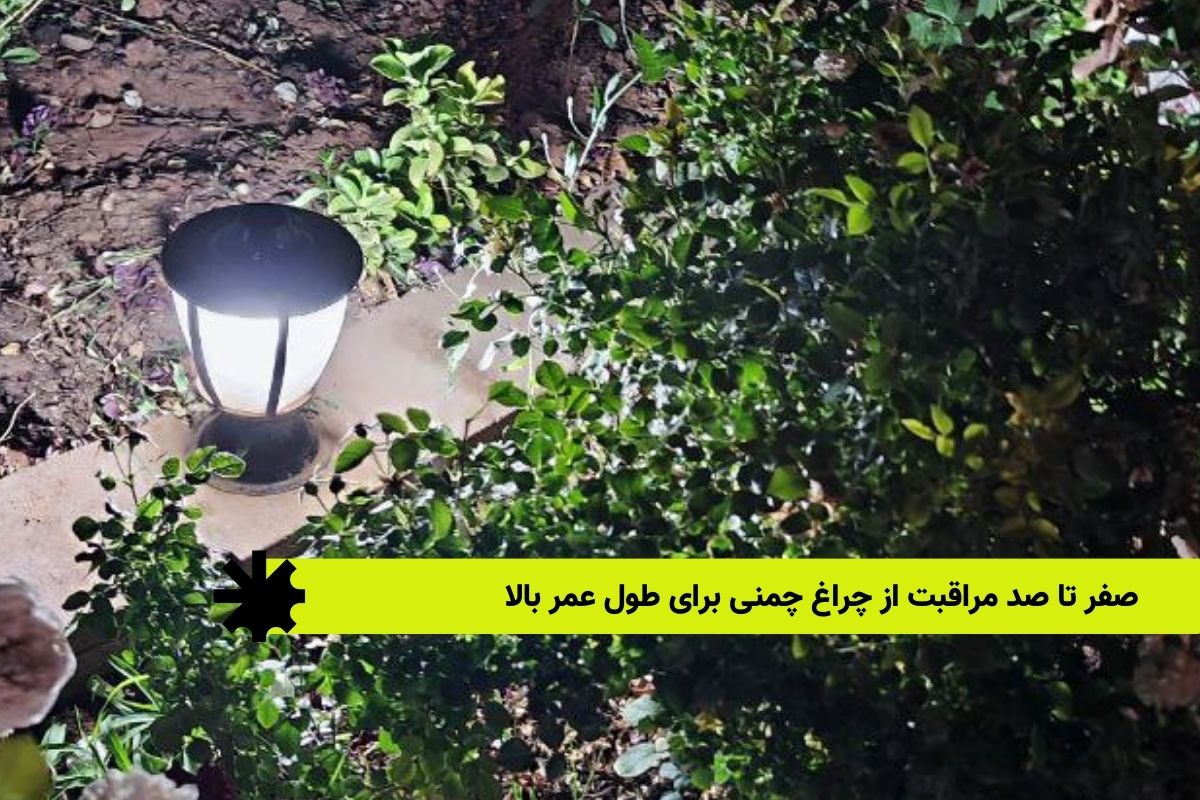صفر تا صد مراقبت از چراغ چمنی برای طول عمر بالا