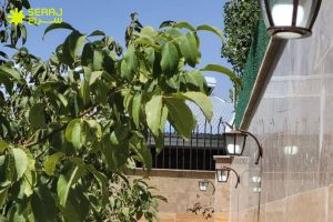 نکات مهم در نصب صحیح چراغ باغی دیواری